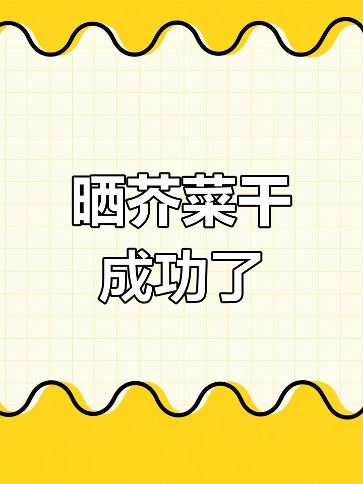第一次晒芥菜干,竟然这么成功!乡村味道满满