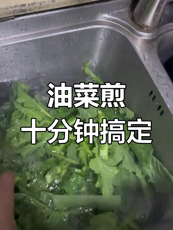 公园旁的油菜尖,清炒美味又香浓