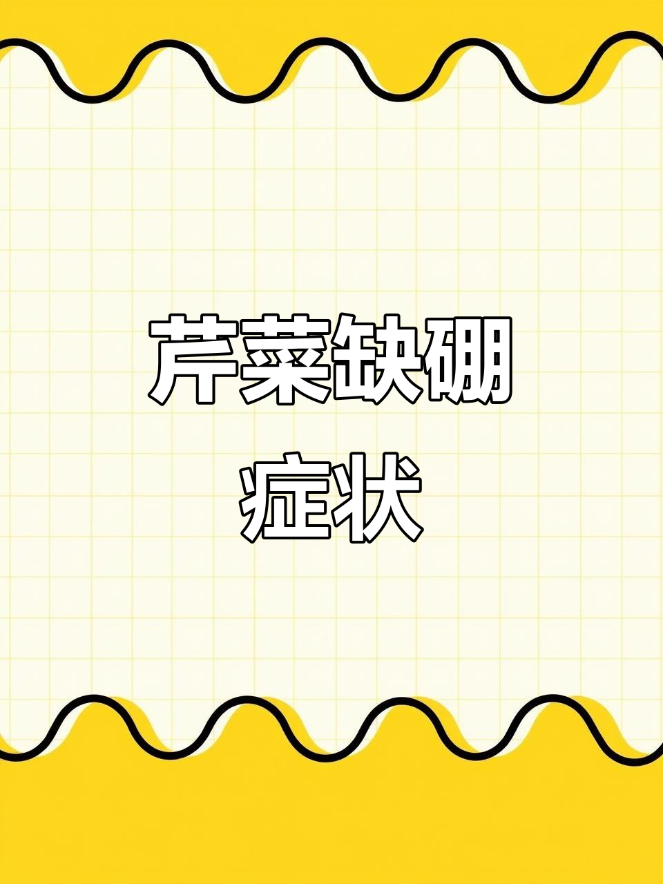 芹菜缺硼,叶柄肿大、心叶枯死,及时补救可避免严重后果