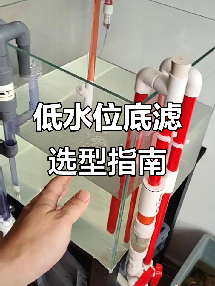 低水位鱼缸如何选择底滤?不打孔虹吸管安装技巧