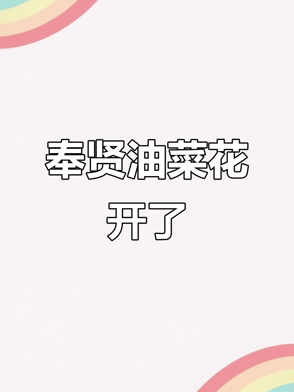 奉贤庄行油菜花盛开,美景尽收眼底