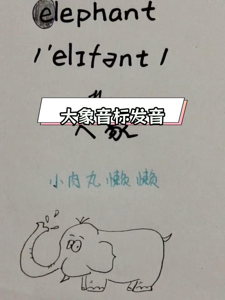 学前英语发音技巧:大象单词示范