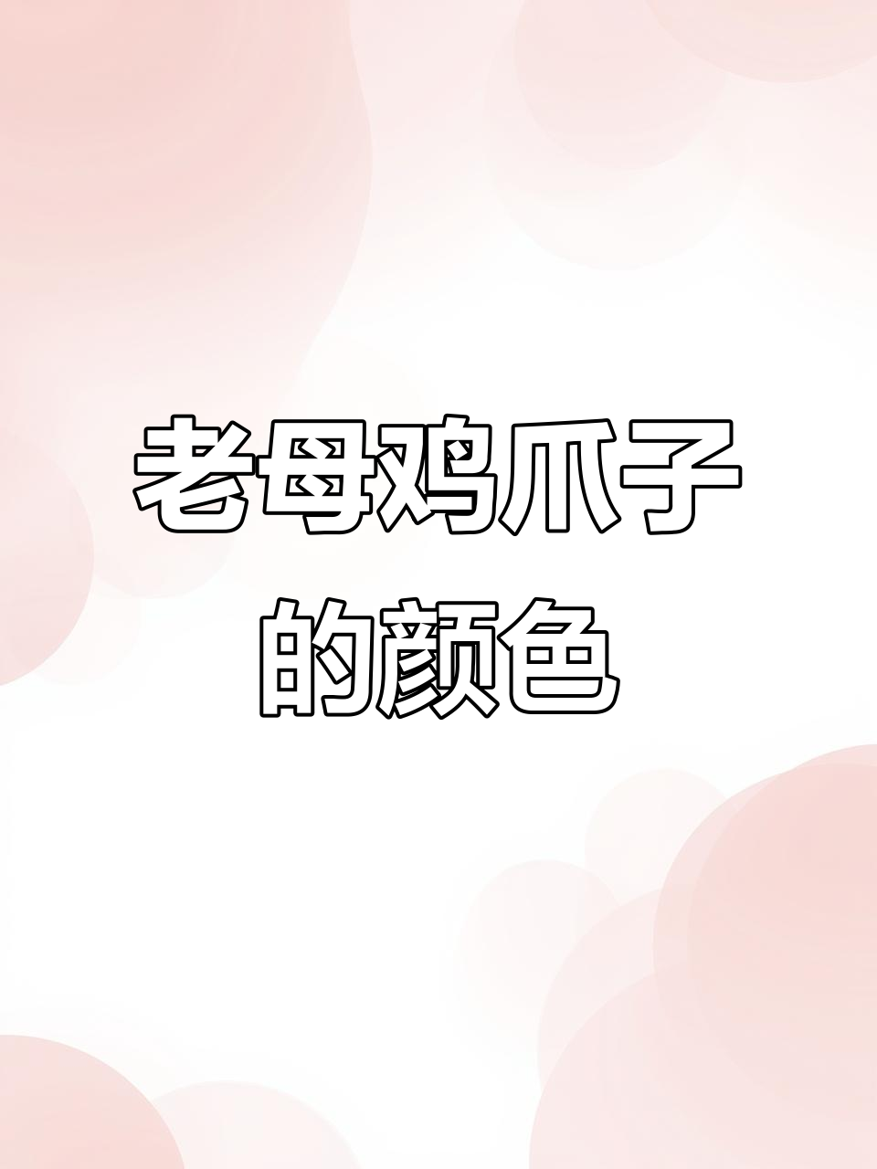 十年老母鸡爪子,酒红色真惊艳!