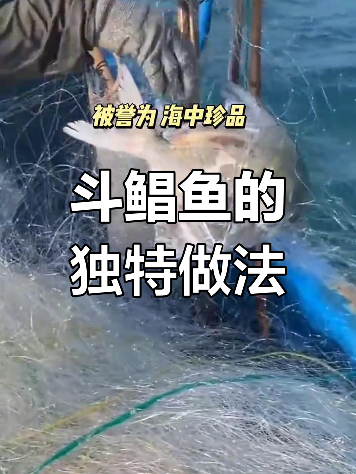 深海珍品斗鲳鱼,稀有美味家常做法揭秘