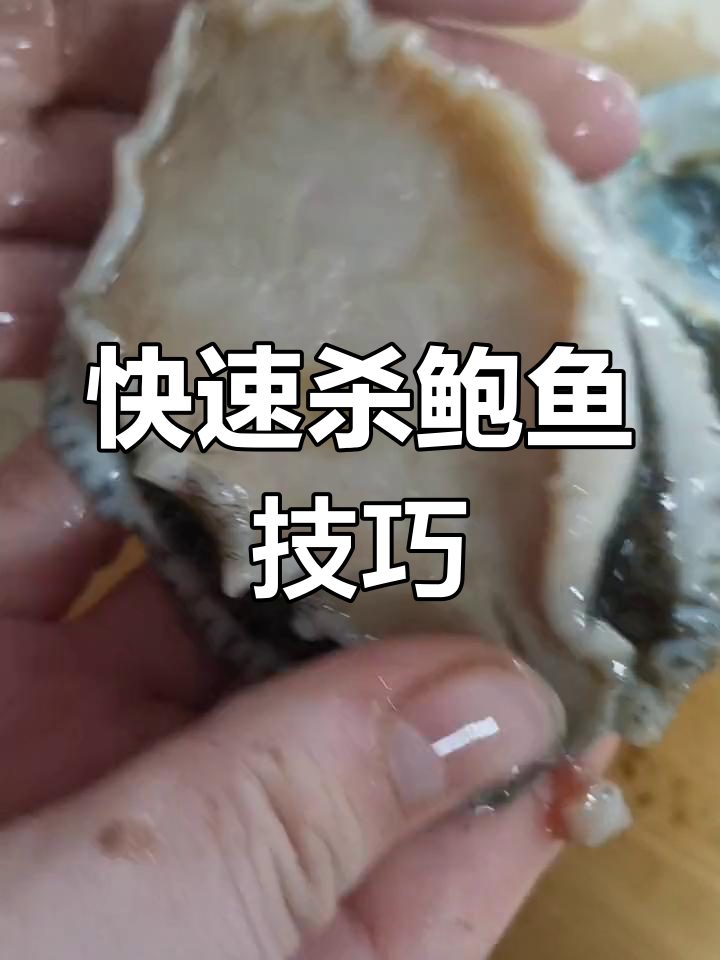 如何轻松处理活鲍鱼