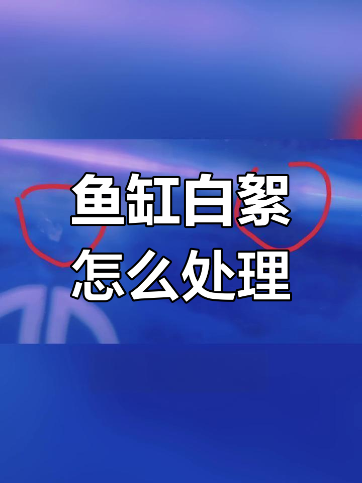 鱼缸里的白色絮状物是什么?如何处理才能恢复清澈