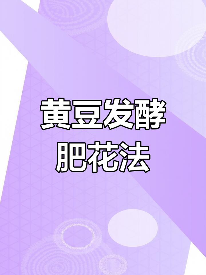 用黄豆做肥料,简单又环保,花卉更健康