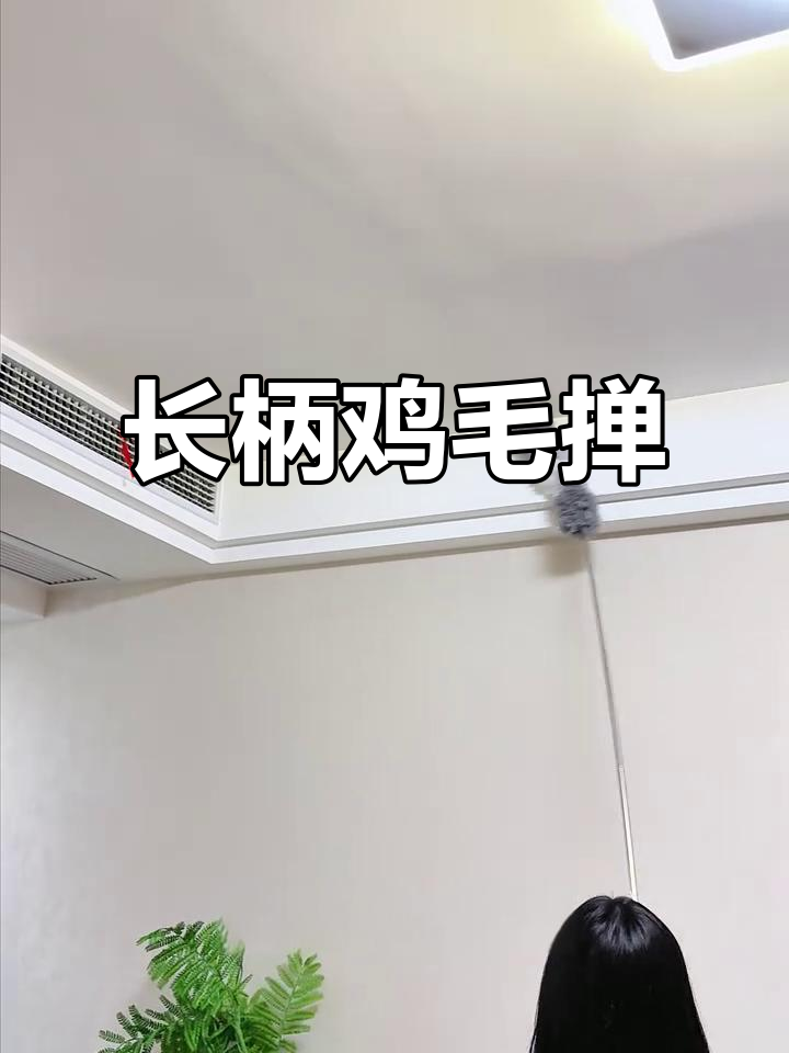 春节临近,备好长柄鸡毛掸子,轻松清洁每个角落缝隙