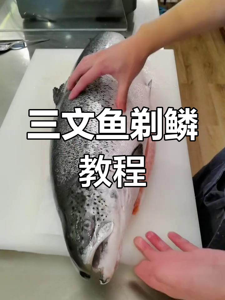 三文鱼分割技巧大揭秘,去鳞剔骨全流程