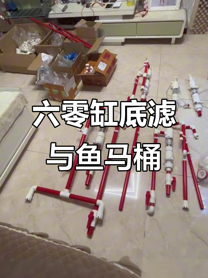 鱼马桶功能强大,六零缸底滤设计展示