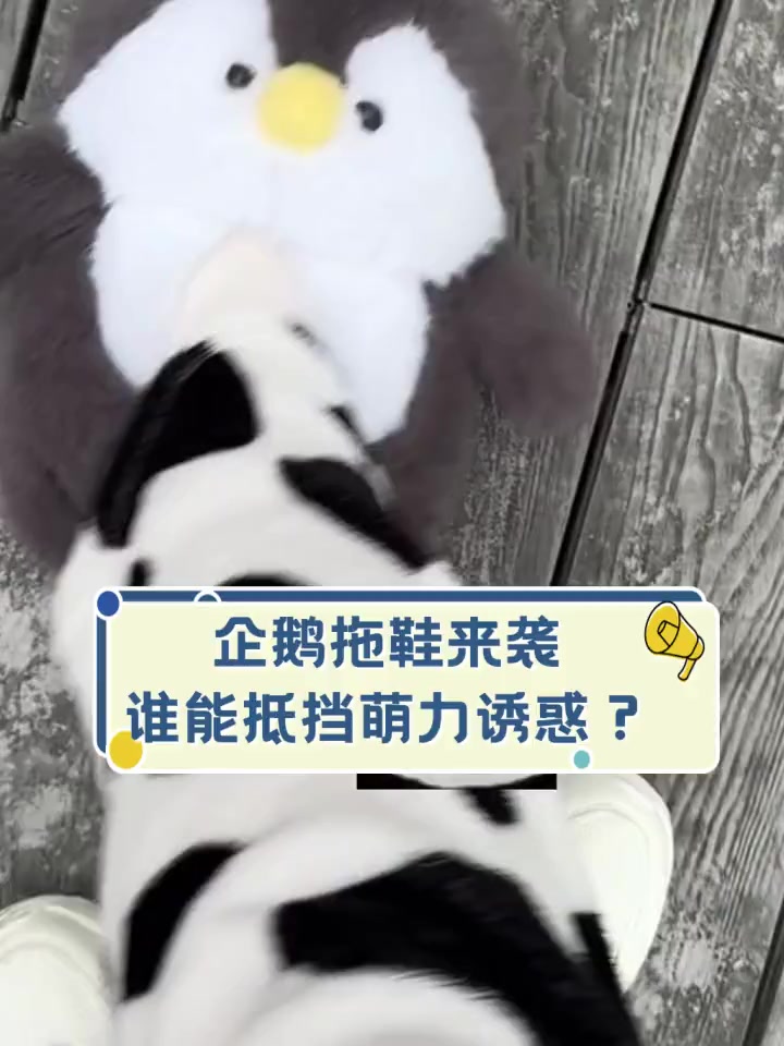 企鹅拖鞋来袭,谁能抵挡萌力诱惑?