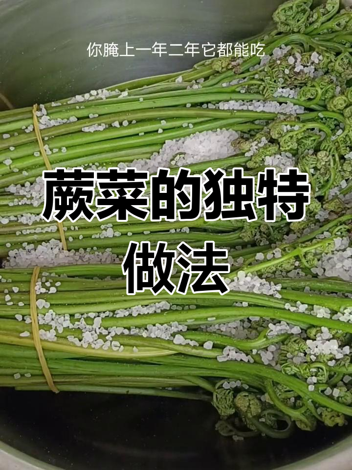蕨菜的历史与争议:东北传统腌法揭秘