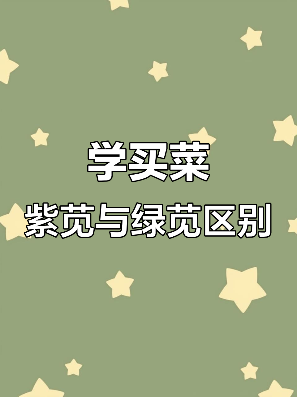 教你挑选紫苋菜和绿苋菜的技巧,轻松选购新鲜食材