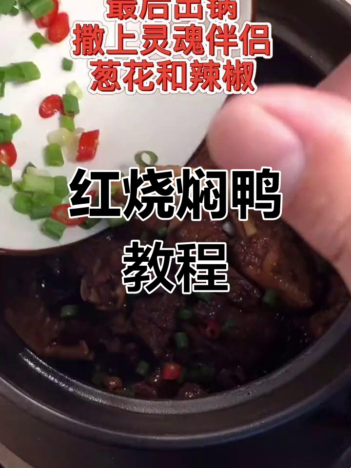 智能砂锅红烧焖鸭,轻松做出美味佳肴
