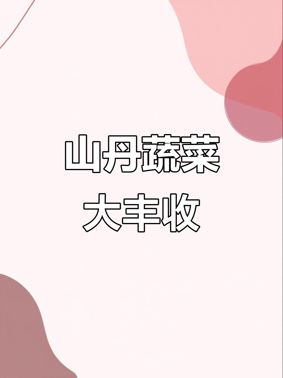 山丹蔬菜产业迎来丰收，冷链运输助力港澳市场