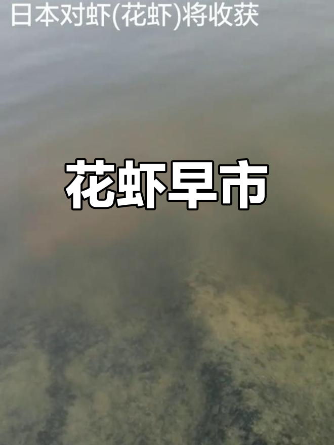 南方花虾提前上市,亩产千斤,价格波动大