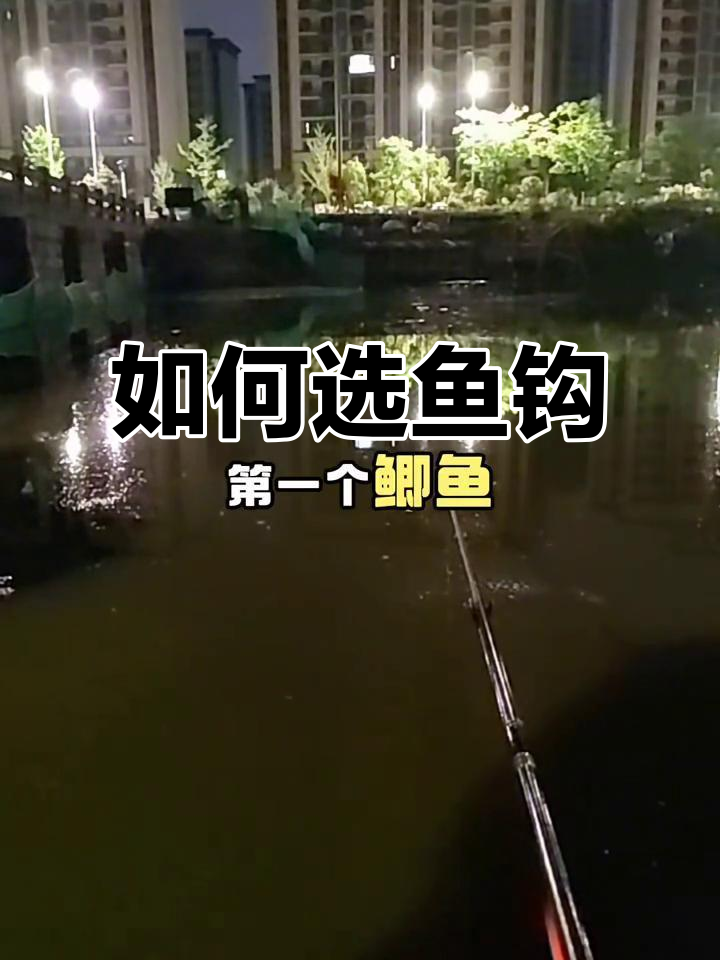 鱼钩选择全攻略:根据不同鱼类挑选最适合的钩型