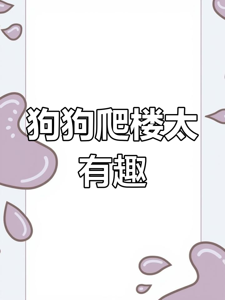 柯基上楼梯竟然这么搞笑,表情包来袭