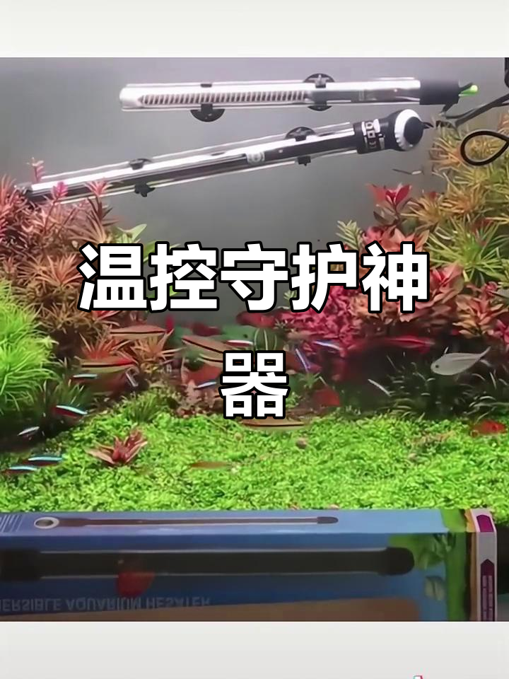 创星变频加热棒,恒温守护热带鱼缸水温