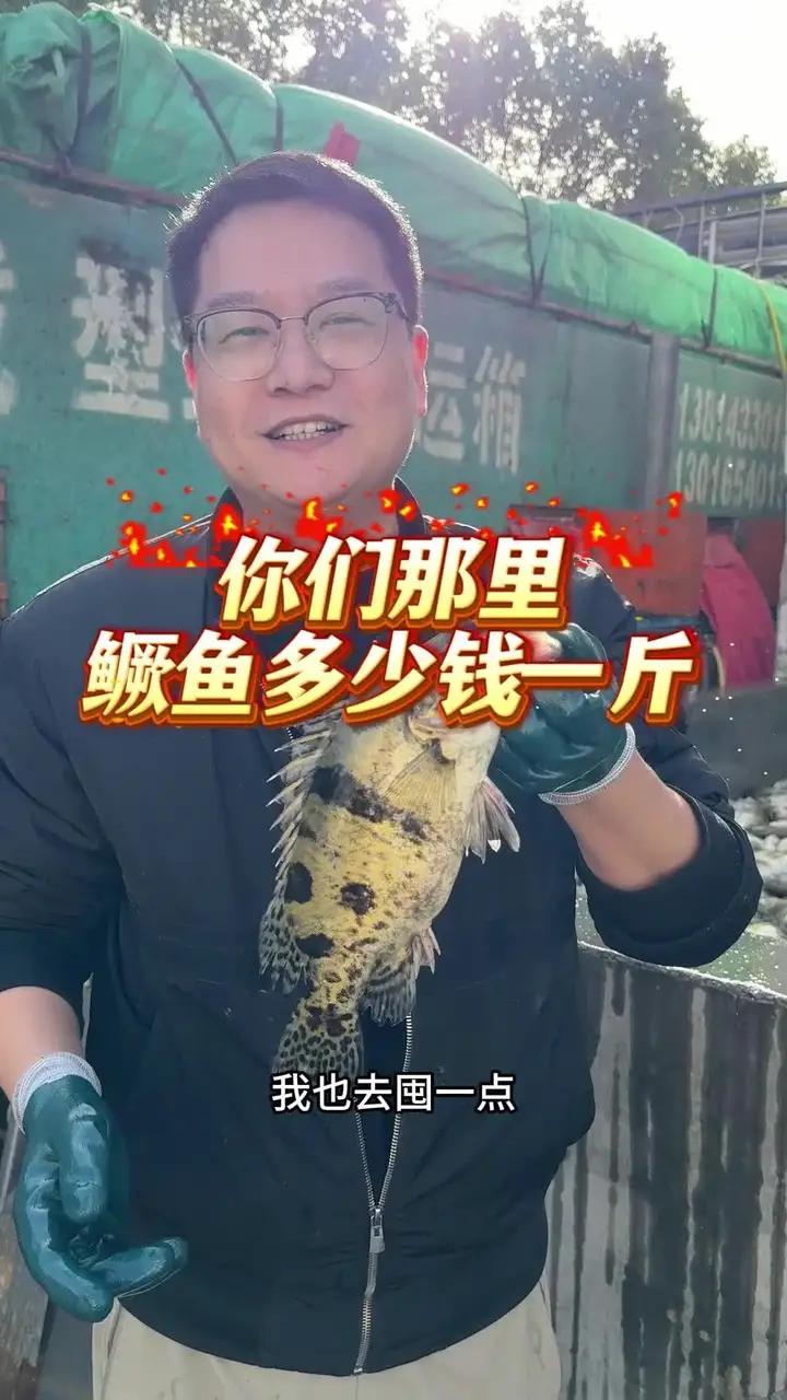 你们那里鳜鱼多少钱一斤
