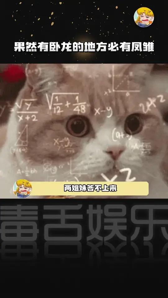 有卧龙的地方必有凤雏