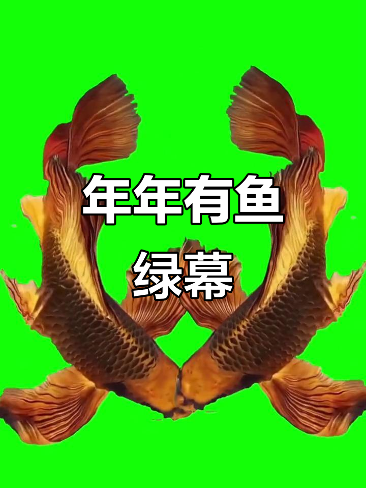 年年有鱼绿幕素材，轻松剪辑成你的视频
