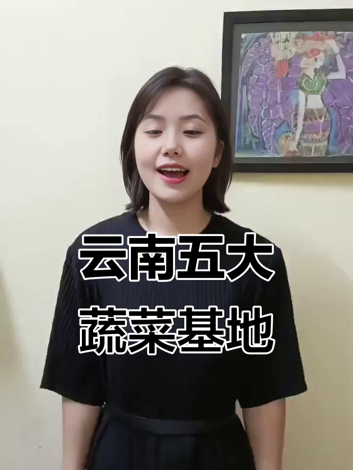 云南五大蔬菜产区揭秘，哪个最畅销？