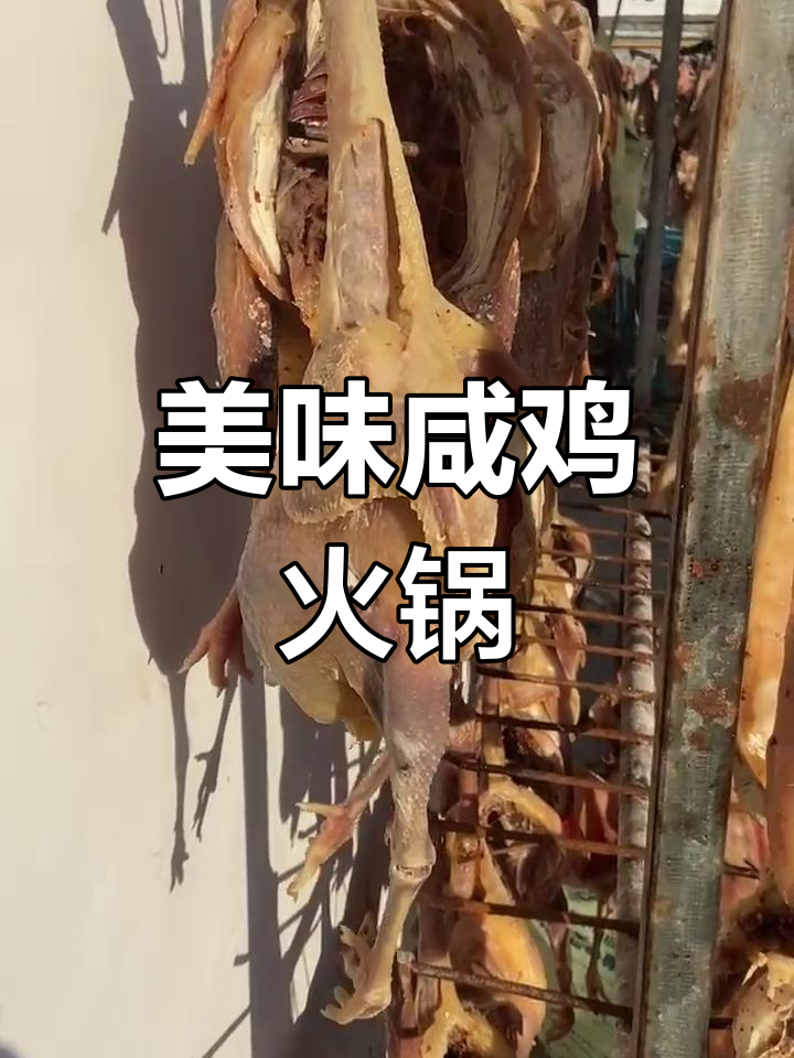 咸鸡火锅,搭配蛋白肉与蔬菜,口感丰富绝妙!
