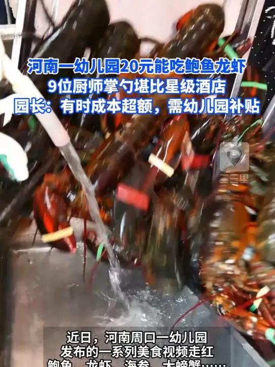 河南一幼儿园走红,一天20元餐费能吃到鲍鱼、龙虾(极目新闻)