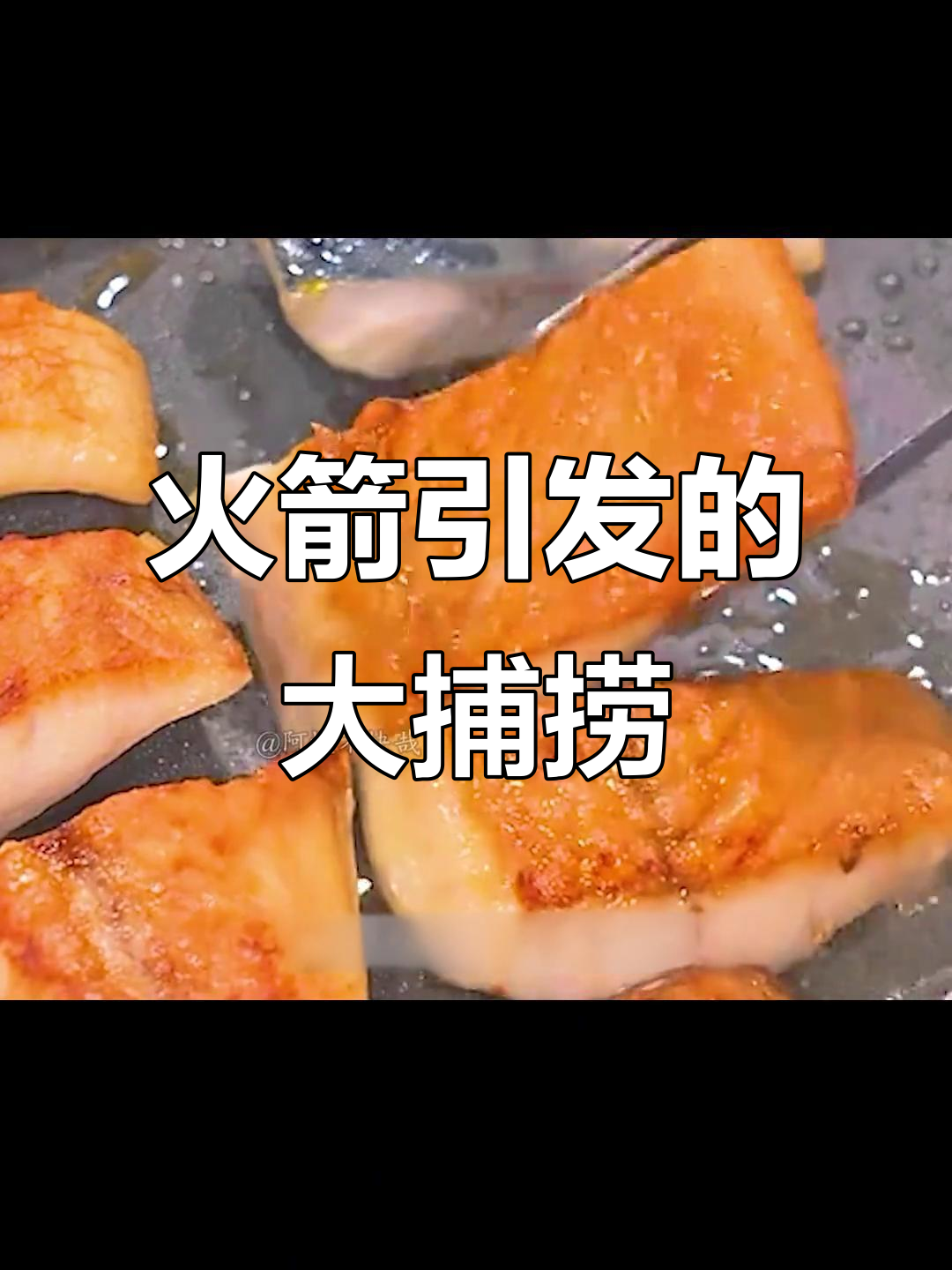 误扔香蕉引来鱼群,挪威青花鱼大丰收!