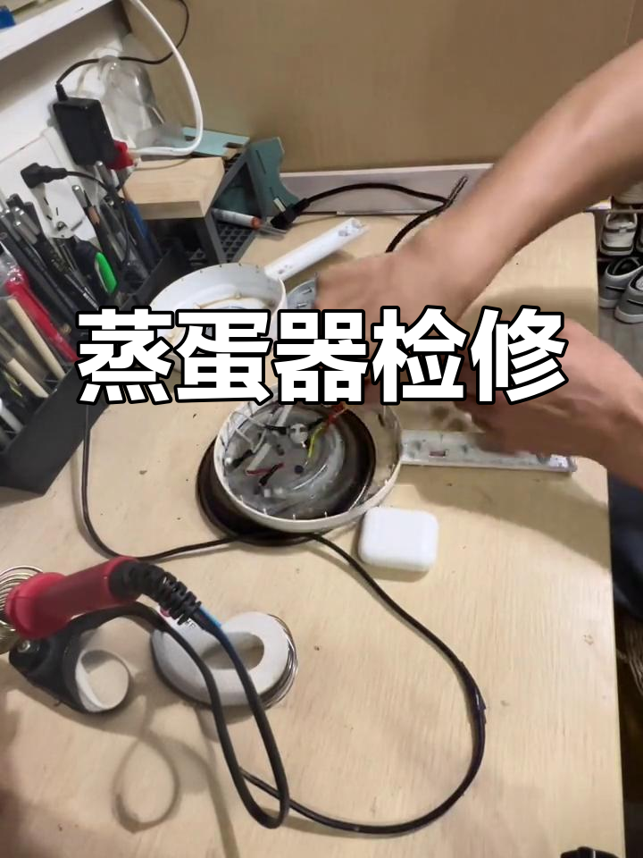 蒸蛋器故障修复全过程