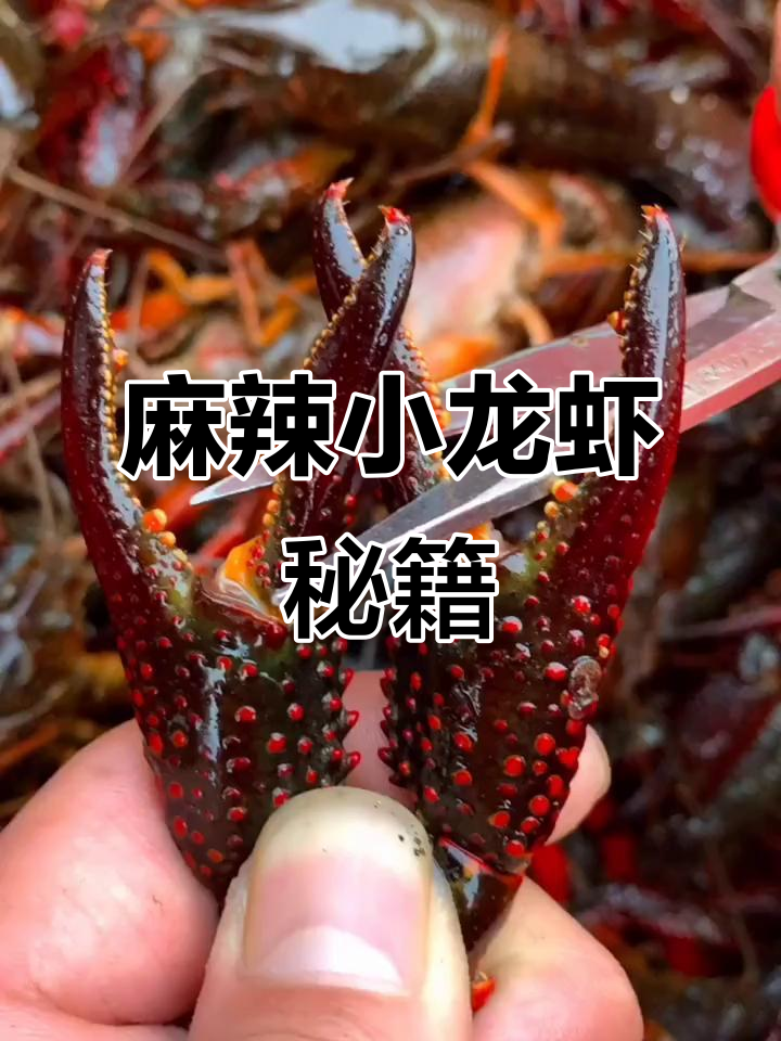 小龙虾烹饪秘诀:去虾线,加香料,麻辣十足才够味!