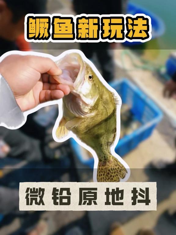 路亚鳜鱼新玩法、微铅原地抖？