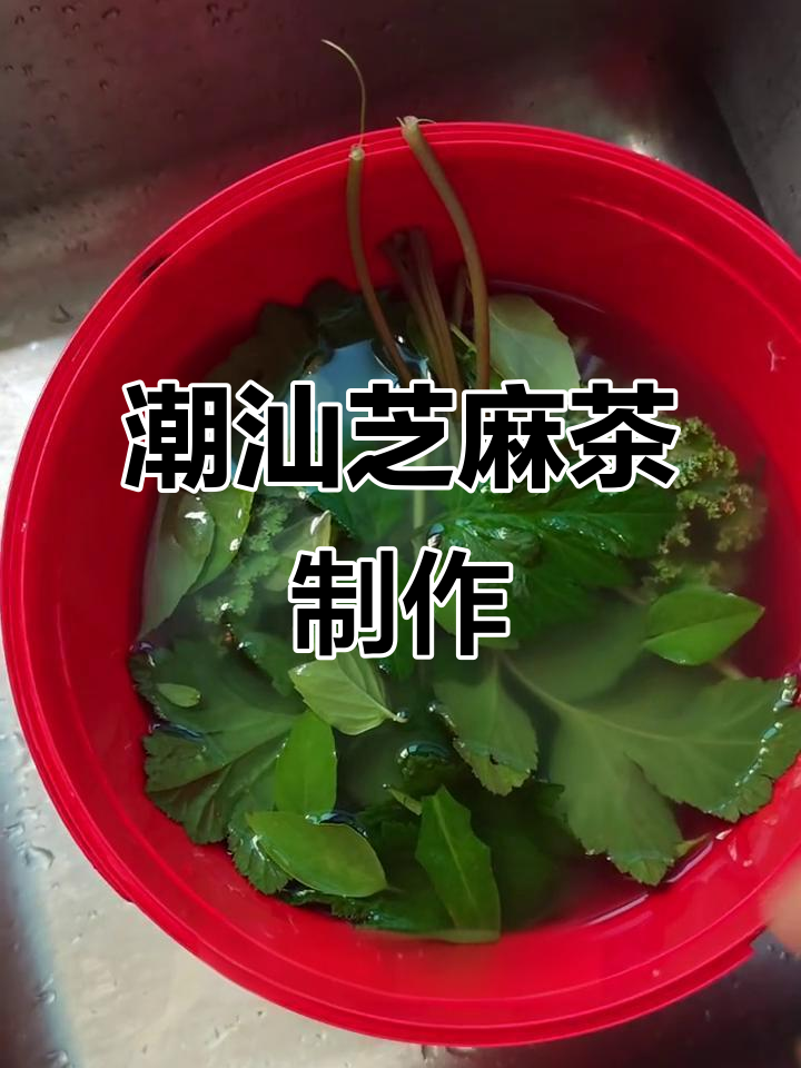 潮汕芝麻茶的制作秘籍，艾叶、珍珠菜等独特食材大揭秘