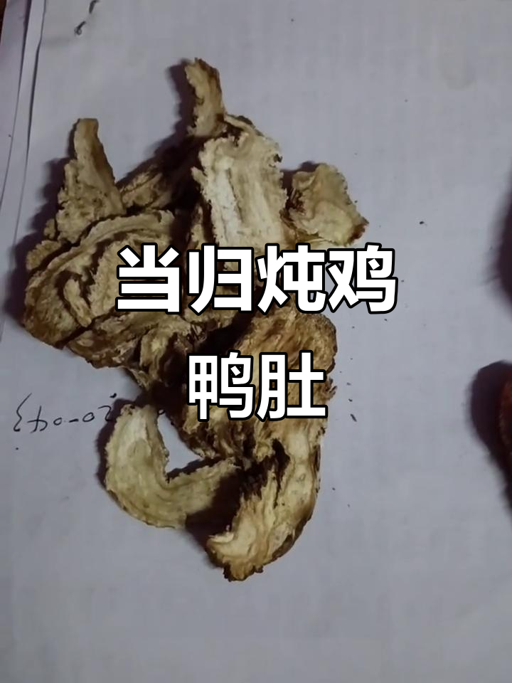 单身也能炖汤,当归搭配更美味!