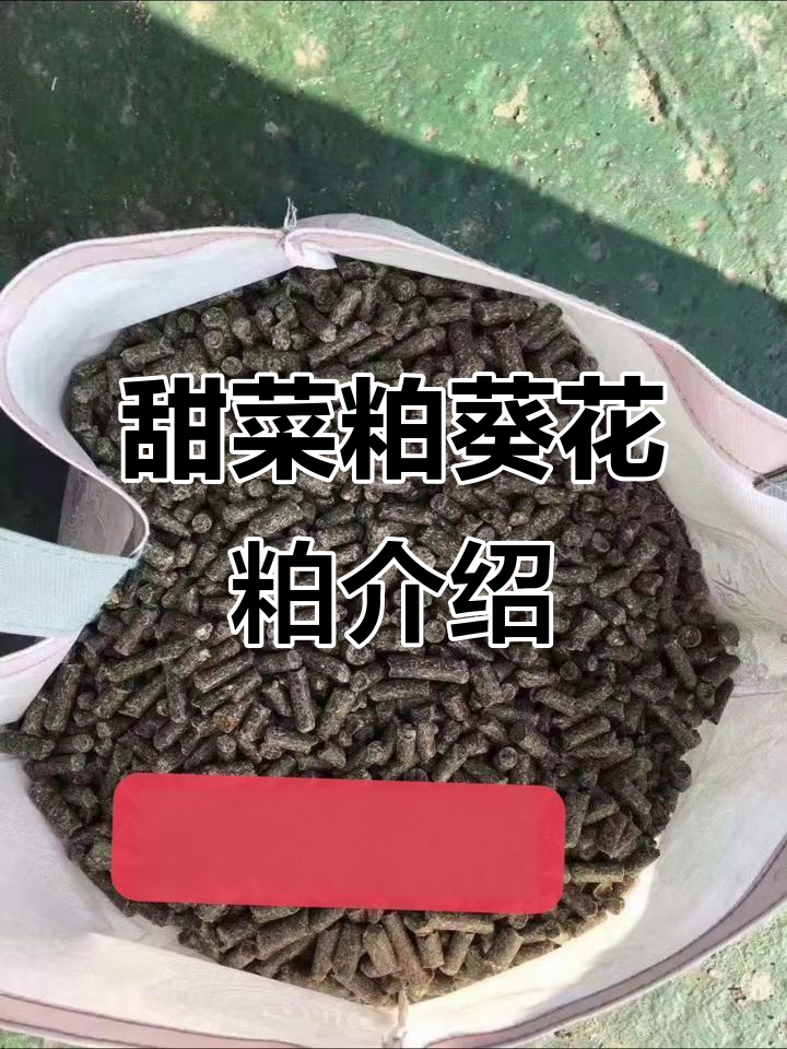 甜菜粕与葵花粕:饲料原料的优质选择