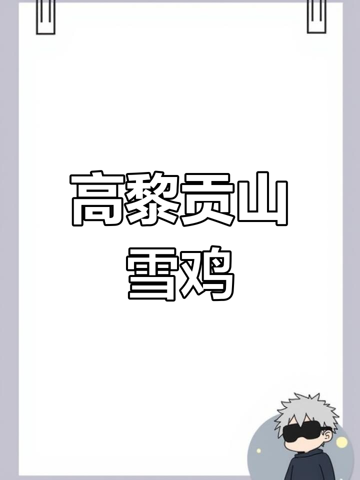 云南腾冲雪鸡:珍稀家禽的独特魅力