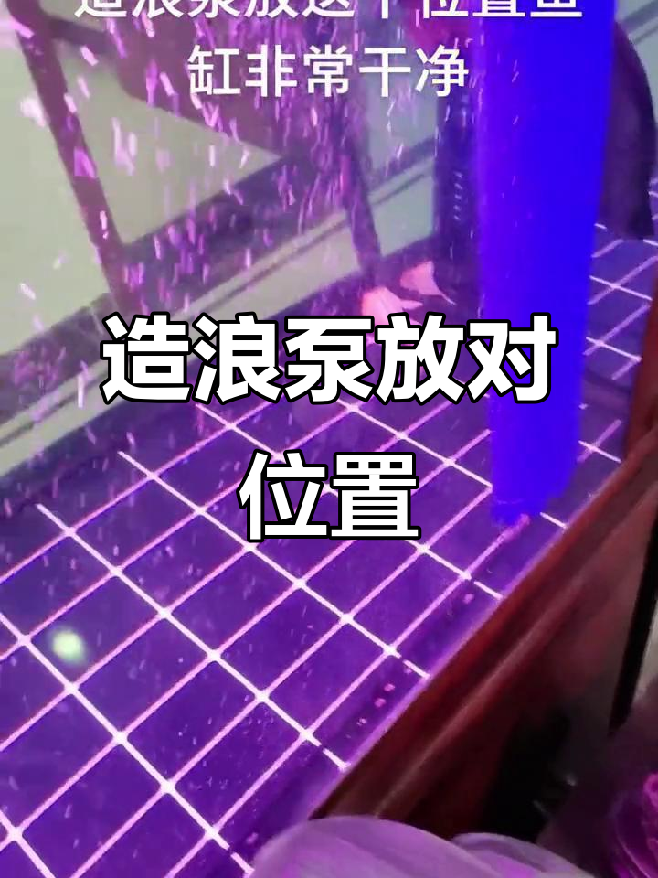 鱼缸清洁秘诀:造浪泵放在这里最有效