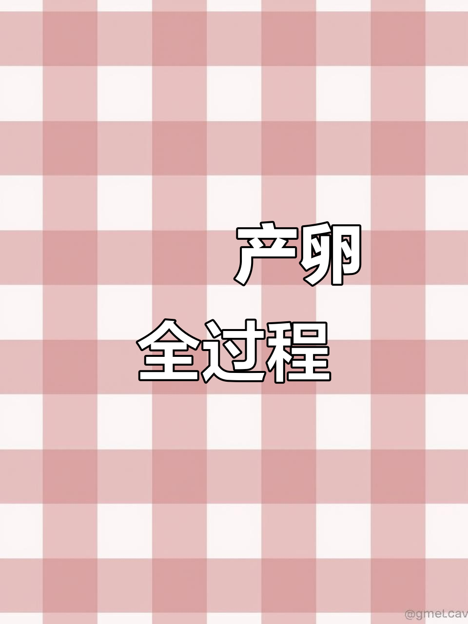 鳑鲏母鱼产卵过程大揭秘,竟然是这样繁殖的!
