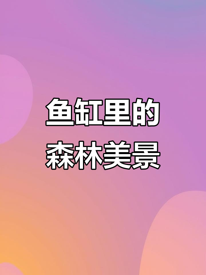 水杉种进鱼缸，打造森林般的清澈水景