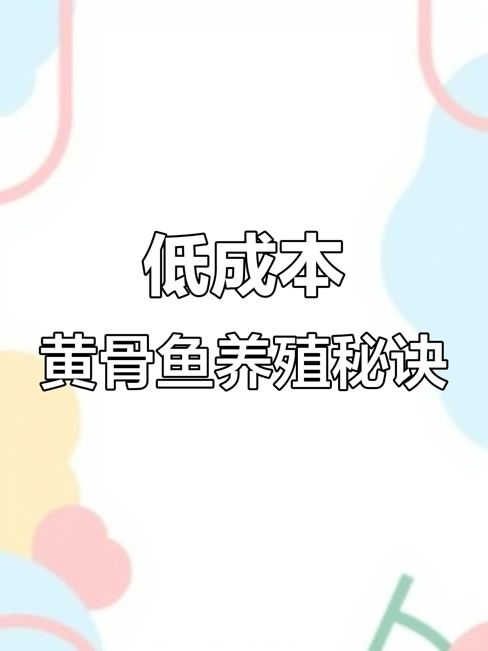 黄骨鱼养殖技巧:从水花到成鱼的低成本高利润之路