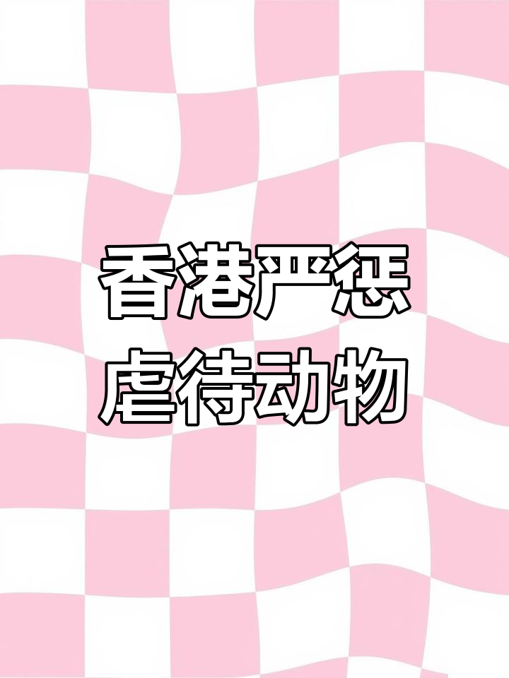 香港为何无流浪猫狗?动物保护法让宠物成家人