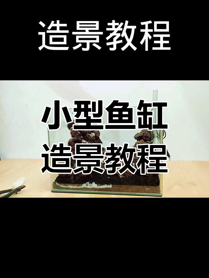 30厘米鱼缸造景全攻略,轻松打造流沙瀑布与水草景观