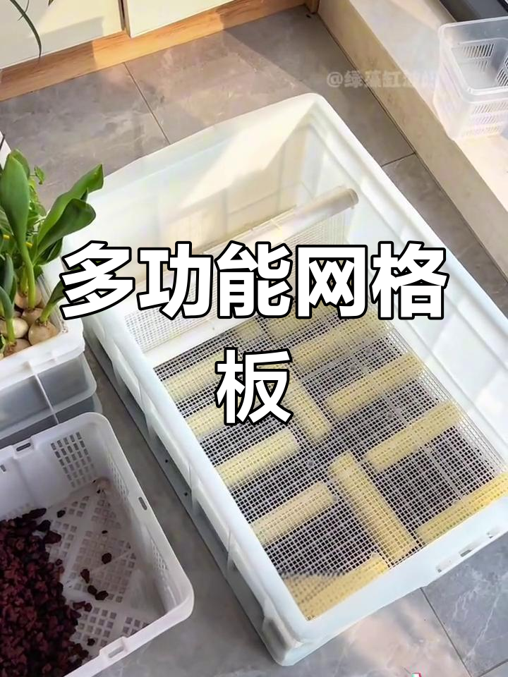 这款网格板,鱼缸龟缸全能设计,功能强大到无法超越!