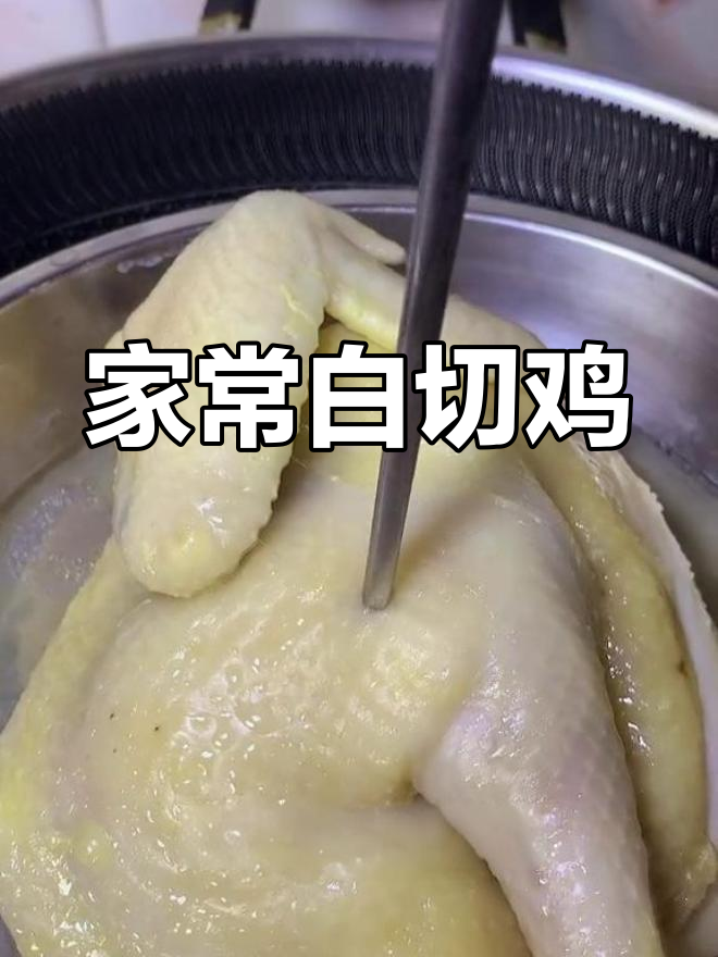 自制白切鸡,家常粤菜美味满满