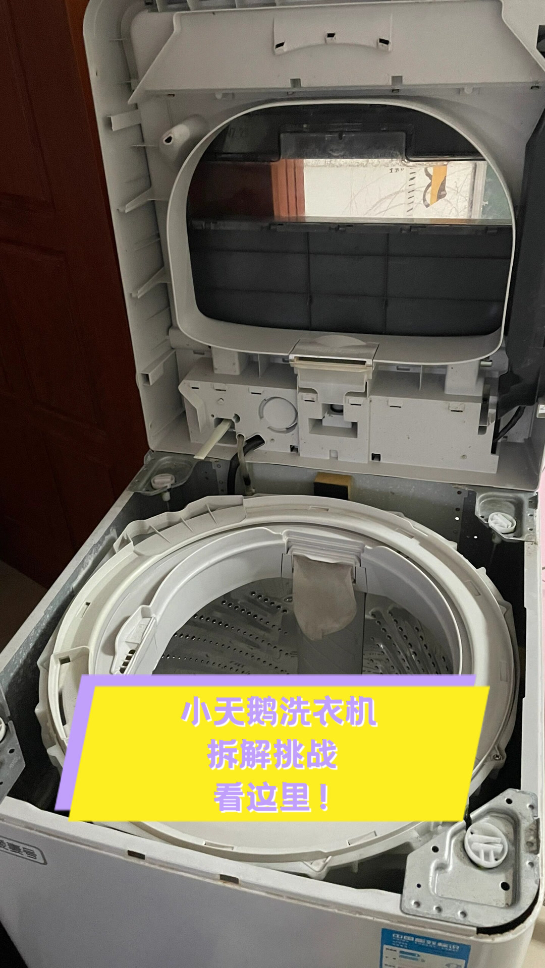 小天鹅洗衣机拆解挑战,看这里!