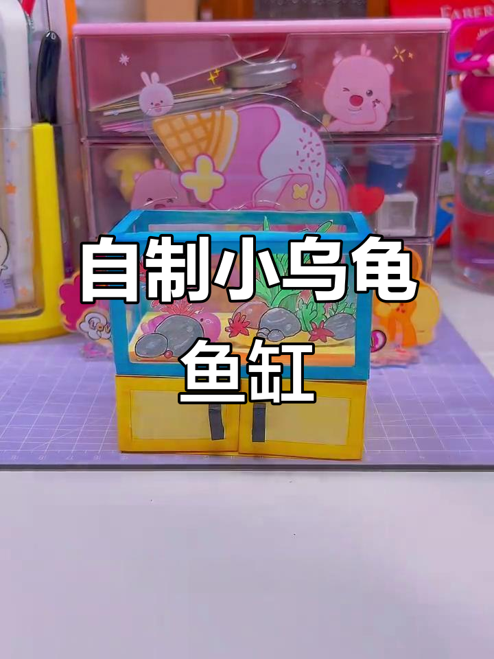 小乌龟鱼缸DIY,打造专属小家!