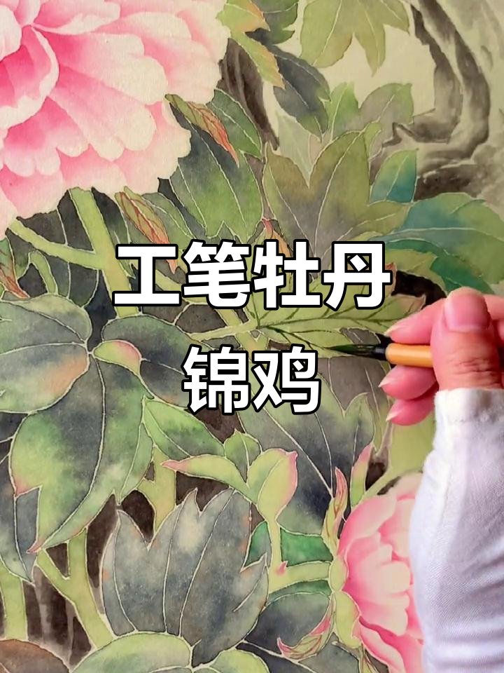 牡丹锦鸡工笔画完成，愿你前程似锦、快乐无忧