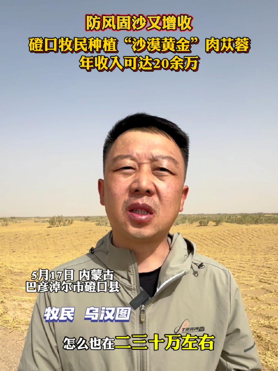 防风固沙又增收!磴口牧民种植“沙漠黄金”肉苁蓉,年收入可达20余万 防沙治沙磴口模式 绿水