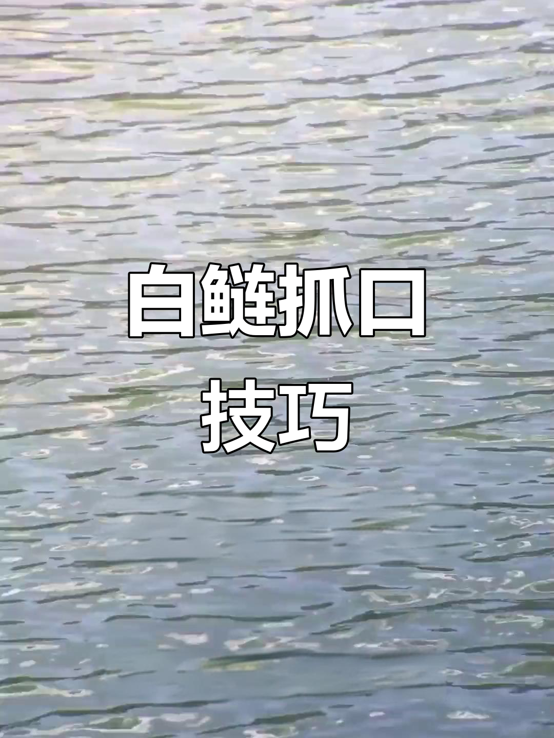 秋季钓鲢鳙技巧:如何区分白鲢与小鱼口